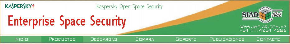 Kaspersky Enterprise Space Security: protección de alto valor agregado para medianas y grandes empresas.